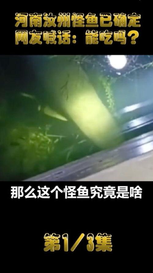 汝州最新爆料怪鱼事件,神秘生物惊现,揭秘当地水域异象